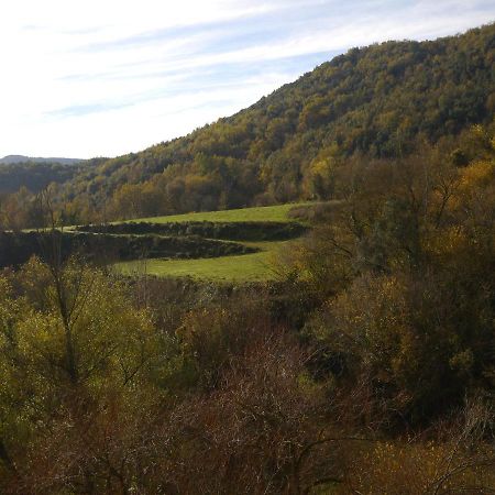 דירות San Miguel de la Pineda Mas Franch מראה חיצוני תמונה